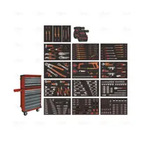 ELECTRICIAN SET 207 PCS ANTIDROP WITH ROLLER CABINET AND FOAMS TRAYS ACO - EGA Master