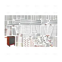 UNIVERSAL SET 513 PCS (MM) IN ROLLER CABINET AND FOAM TRAYS - EGA Master