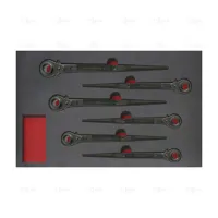 TRAY -SET OF PODGING WRECHES ANTIDROP ACO - EGA Master