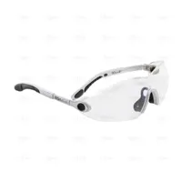 CLEAR ADJUSTABLE POLYCARBONATE GLASSES - EGA Master