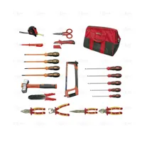 ELECTRICIAN SET 20 PCS. - EGA Master