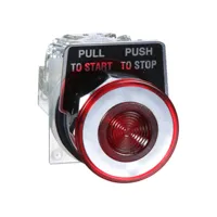 Schneider,  PUSHBUTTON 600VAC 10A 30MM TYPE K