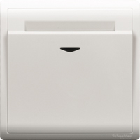 Schneider,  <em class="search-results-highlight">Pieno</em> - 16A 250V - electronic key card switch with time delay