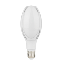 Lumilyte, LED Bulb - Magnolia S2 , 30W, White, 6500K