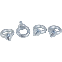 Schneider, set of 4 Spacial SF M12 lifting eyebolt - galvanized cast steel