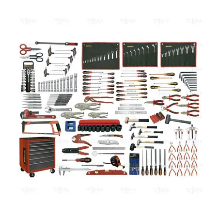 SET FOR MECHANICS 228 PCS.WITH ROLLER CABINET AND EVA TRAYS - EGA Master