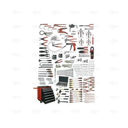 "EGAUTO" SET OF 195 PCS. - EGA Master