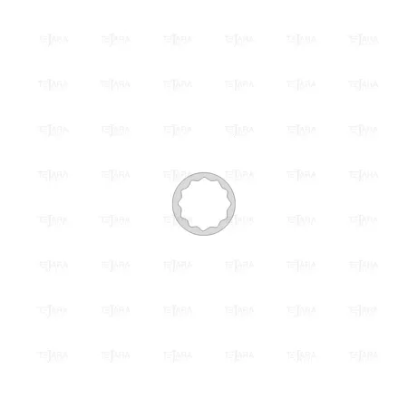 SOCKET WRENCH 3/8" - 11 MM INOX (12 EDGES) - EGA Master
