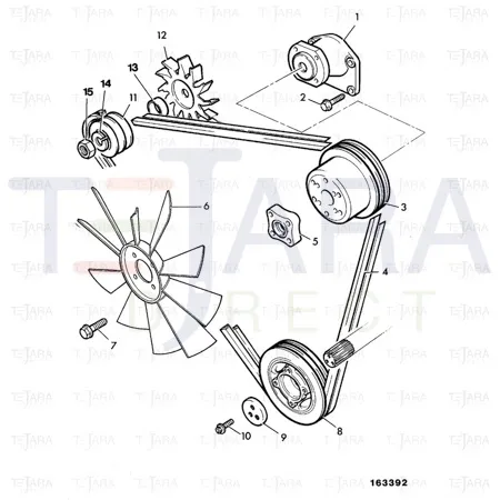 JCB Part No.# 01/124405, V BELT (PAIR) - JCB Spare Parts