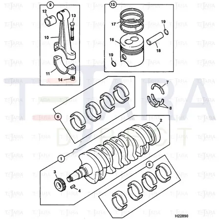 JCB Part No.# 02/634181, BIG END BEARING KIT - JCB Spare Parts