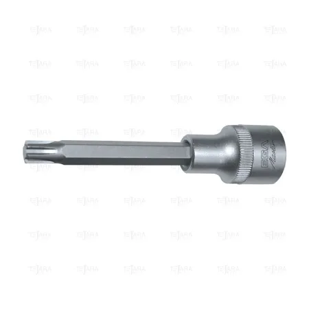 SOCKET BIT 1/2" - RIBE TIP M10 X 100 MM - EGA Master