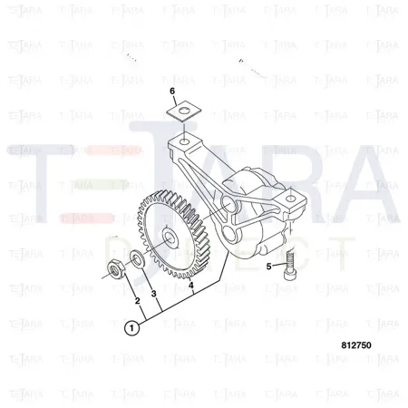 JCB Part No.# 02/950400, Pump oil - JCB Spare Parts