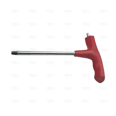 ALLEN KEY WITH "T" HANDLE 5 MM TITANIUM - EGA Master
