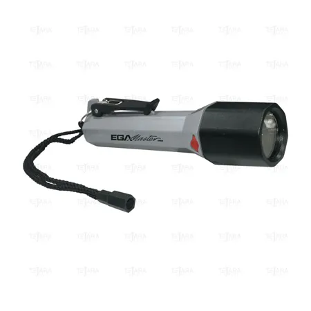 FOCUS LED MasterEx 79650 - EGA Master