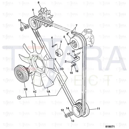 JCB Part No.# 02/801499, SS.P.N02/800774 BELT FAN SET (PAIR) - JCB Spare Parts