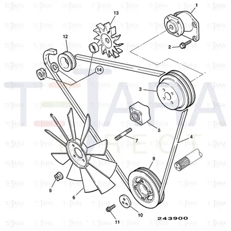 JCB Part No.# 123/06399, BELT - JCB Spare Parts