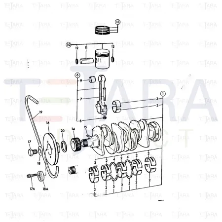 JCB Part No.# 02/101906, FAN BELT 1300MM - JCB Spare Parts