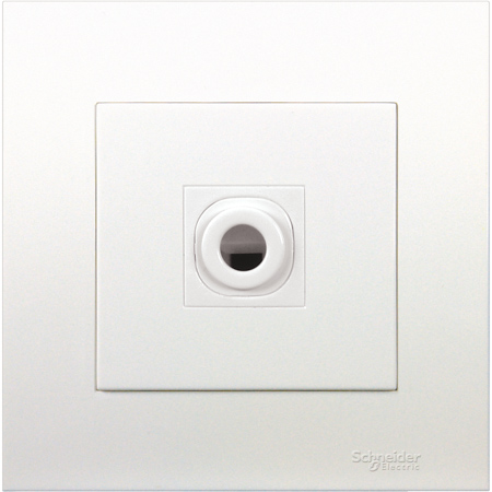 Schneider,  25A 250V Connection Unit