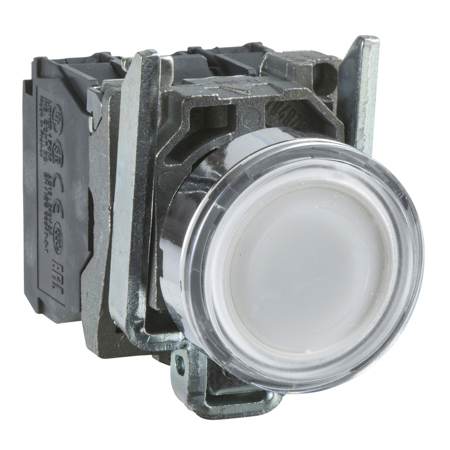 Schneider, Illuminated push button, metal, flush, white, Ø22, spring return, 110...120 V AC, 1 NO + 1 NC