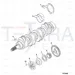 JCB Part No.# 02/950081, Cover dust - JCB Spare Parts