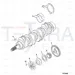 JCB Part No.# 02/950304, Kit-main bearing u - JCB Spare Parts