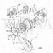 JCB Part No.# 02/911897, DRIVEBELT - JCB Spare Parts