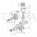 JCB Part No.# 02/101566, BELT FAN (pair) - JCB Spare Parts