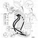 JCB Part No.# 649/51241, HOSE 1/4 BSP 900MM - JCB Spare Parts