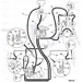 JCB Part No.# 1417/0011Z, WASHER 5/16" EXT LOCK - JCB Spare Parts