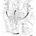 JCB Part No.# 629/80128, HOSE 3/8 bsp - 1870mm - JCB Spare Parts