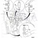 JCB Part No.# 816/90758, TEST PROBE-TEE ADAPTOR - JCB Spare Parts