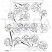 JCB Part No.# 332/D1669, Shim wear pad - JCB Spare Parts
