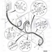 JCB Part No.# 332/U7134, HOSE AIR CON COMP TO COND - JCB Spare Parts