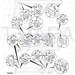 JCB Part No.# 332/C8250, SA WEAR PAD - JCB Spare Parts