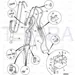 JCB Part No.# 612/80055, HOSE 3/8"BSP 1420M - JCB Spare Parts