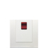 Schneider,  45A 250V Twin Gang Vertical Double Pole Switch with Neon